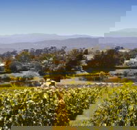 Josef Chromy Wines Winery Tour Including Tasting and Lunch - Kawana Tourism