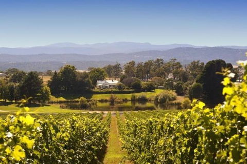 Josef Chromy Wines Winery Tour Including Tasting And Lunch - Kawana Tourism 0