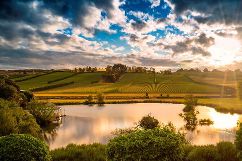 Josef Chromy Wines Winery Tour Including Tasting And Lunch - Kawana Tourism 2