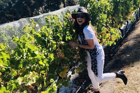 Valleys Of Vino Tour - Kawana Tourism 1