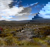 6-Day Overland Track PhotoTour - Kawana Tourism