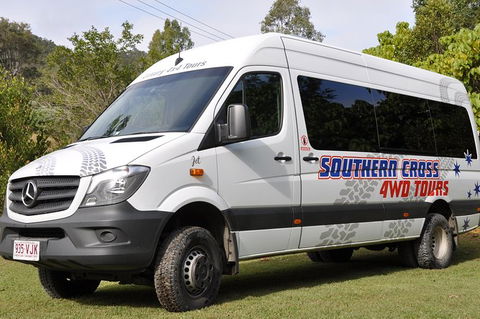 World Heritage Springbrook National Park Tour Including Natural Bridge - Kawana Tourism 5