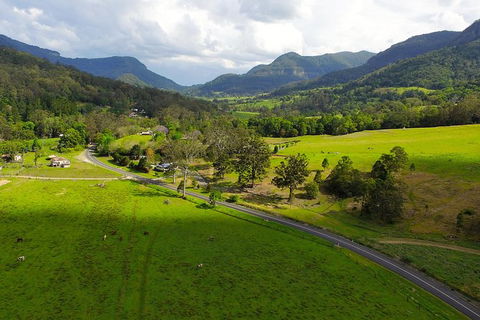 World Heritage Springbrook National Park Tour Including Natural Bridge - Kawana Tourism 4