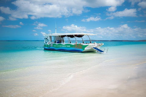 Great Sandy Marine Park Turtle Discovery And Cultural Eco Tour - Kawana Tourism 5