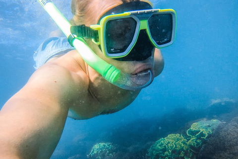 Great Sandy Marine Park Turtle Discovery And Cultural Eco Tour - Kawana Tourism 2