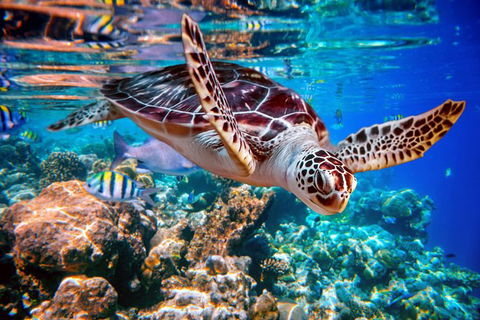 2-Night Whitsunday Islands All-Inclusive Sailing Tour From Airlie Beach - Kawana Tourism 7