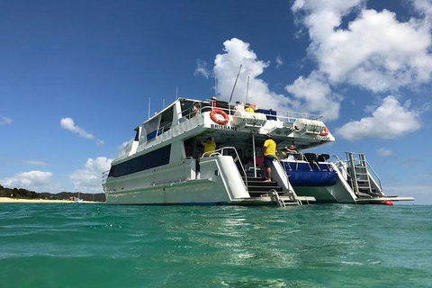 Eco Marine Safari - Boom Netting & Snorkeling Moreton Island - Fortitude Valley - Kawana Tourism 0