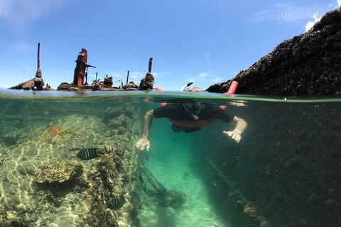 Eco Marine Safari - Boom Netting & Snorkeling Moreton Island - Fortitude Valley - Kawana Tourism 1