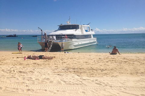 Eco Marine Safari - Boom Netting & Snorkeling Moreton Island - Fortitude Valley - Kawana Tourism 11