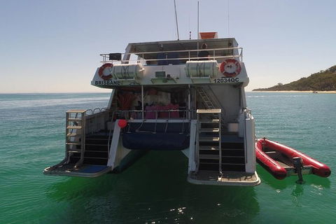 Eco Marine Safari - Boom Netting & Snorkeling Moreton Island - Fortitude Valley - Kawana Tourism 13
