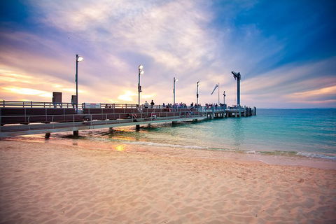 Dolphin Viewing Day Cruise To Tangalooma Island Resort On Moreton Island - Kawana Tourism 4