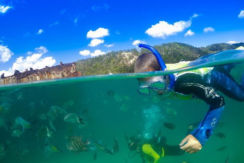 Dolphin Viewing Day Cruise To Tangalooma Island Resort On Moreton Island - Kawana Tourism 3