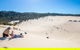 Dolphin Viewing Day Cruise To Tangalooma Island Resort On Moreton Island - thumb 6