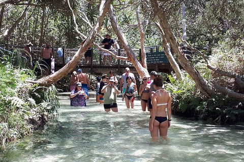 Overnight Fraser Island Camping Safari From Brisbane - Kawana Tourism 3