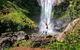 Springbrook Full Day Tour - thumb 10