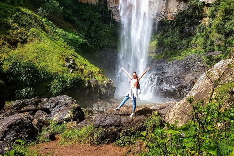 Springbrook Full Day Tour - Kawana Tourism 10