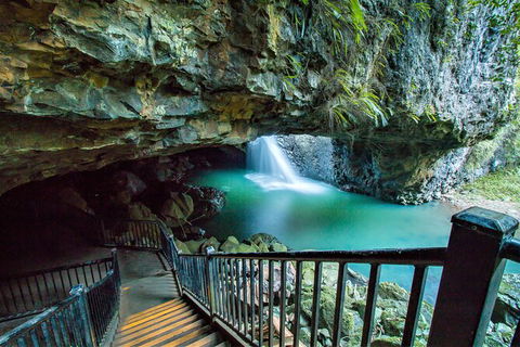 Springbrook Full Day Tour - Kawana Tourism 12