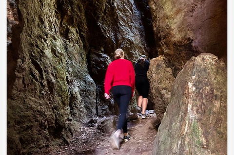 Springbrook Full Day Tour - Kawana Tourism 7