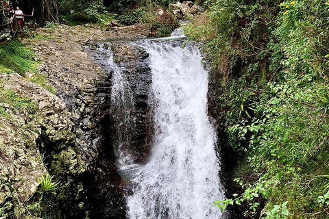 Springbrook Full Day Tour - Kawana Tourism 4
