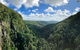 Springbrook Full Day Tour - thumb 3