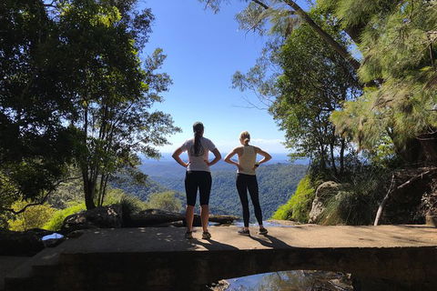 Springbrook Full Day Tour - Kawana Tourism 15