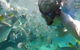2-Day Moreton Island 4WD Camping Tour From Brisbane - thumb 3