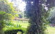Deluxe Winery Tour To Tamborine Mountain, Includes Gourmet Two Course Lunch - thumb 4