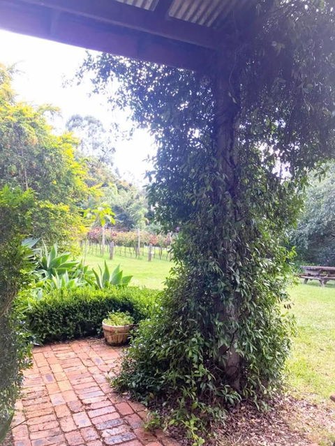 Deluxe Winery Tour To Tamborine Mountain, Includes Gourmet Two Course Lunch - Kawana Tourism 4