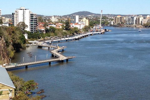 Brisbane City Highlights With Lone Pine! - Kawana Tourism 4