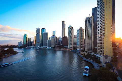 Brisbane City Highlights With Lone Pine! - Kawana Tourism 3