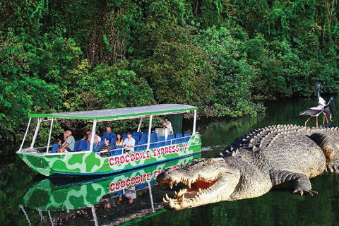 Daintree River Cruise - Kawana Tourism 7