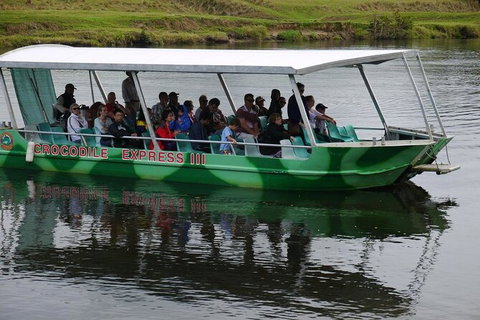 Daintree River Cruise - Kawana Tourism 2