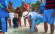 Whitehaven Beach And Hill Inlet Chill And Grill - thumb 1