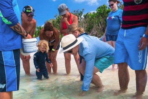 Whitehaven Beach And Hill Inlet Chill And Grill - Kawana Tourism 1
