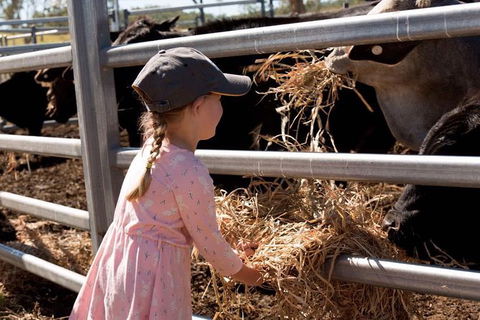 Mackay Farm Food And Flavours Tour - Kawana Tourism 0