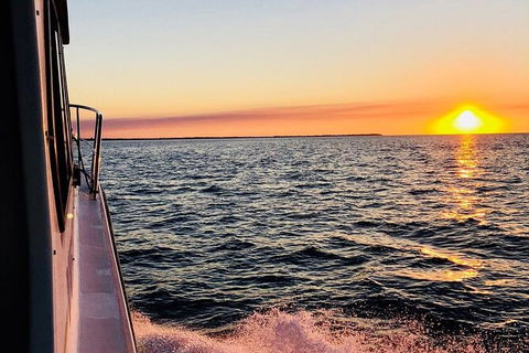 Hervey Bay Whale Swim And Watch - Kawana Tourism 7