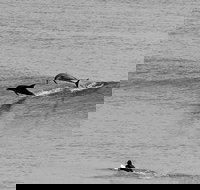 Overnight Tweed Coast Camping and Surfing Getaway From The Gold Coast - Kawana Tourism