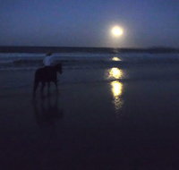 Full Moon Horse Ride at Rainbow Beach