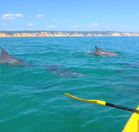 Half-Day Kayak with Dolphins and 4WD Beach Drive from Rainbow Beach