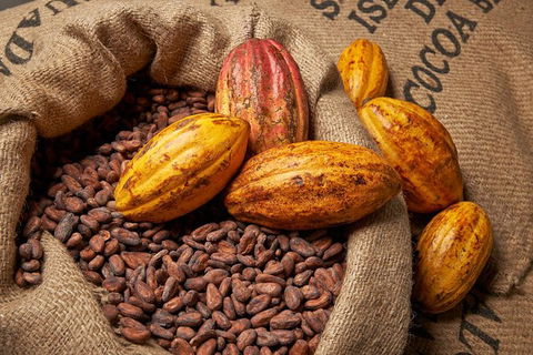 Charley\'s Chocolate Factory Tour, Mission Beach Including Aussie Farm Lunch - Kawana Tourism 2