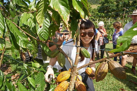 Charley\'s Chocolate Factory Tour, Mission Beach Including Aussie Farm Lunch - Kawana Tourism 3