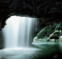 Natural Bridge Glow Worm Night Tour from Gold Coast - Kawana Tourism