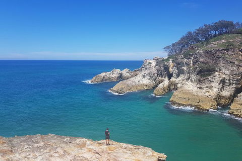 Full-Day Tour To North Stradbroke Island From Brisbane - Kawana Tourism 2