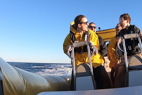 Noosa Oceanrider - Thrill Ride - Kawana Tourism 5