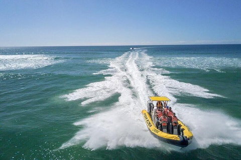 Noosa Oceanrider - Thrill Ride - Kawana Tourism 2
