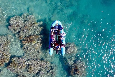 Glass-bottom Boat Tour With Whitehaven Beach - Kawana Tourism 0