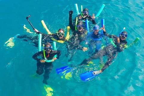 Glass-bottom Boat Tour With Whitehaven Beach - Kawana Tourism 1