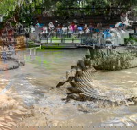 Hartley's Crocodile Adventures General Entry Ticket - Kawana Tourism