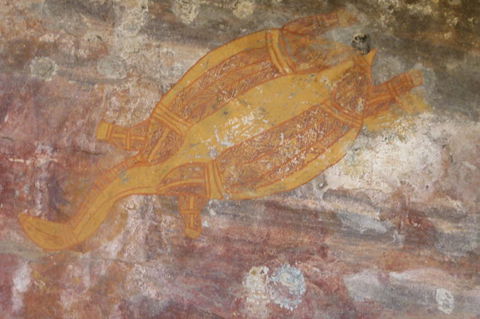 Kakadu Full-Day Tour From Darwin With Lunch - Kawana Tourism 4