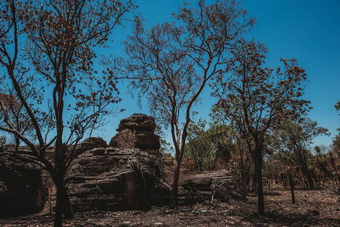 Kakadu Full-Day Tour From Darwin With Lunch - Kawana Tourism 6